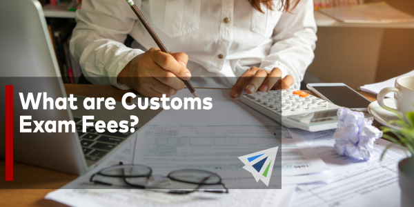 What Are Customs Exam Fees